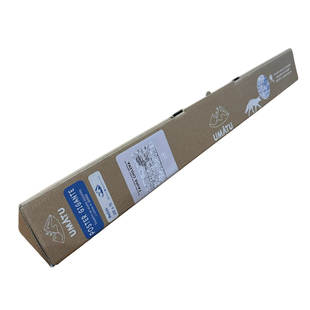 Poster Gigante de "Fauna Chilena" - Busca, Encuentra y Colorea