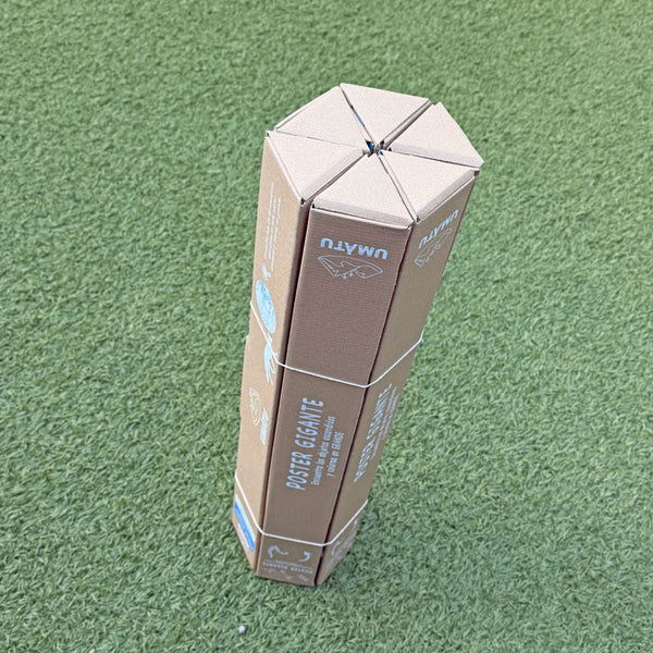 6 x Poster de Fauna Chilena