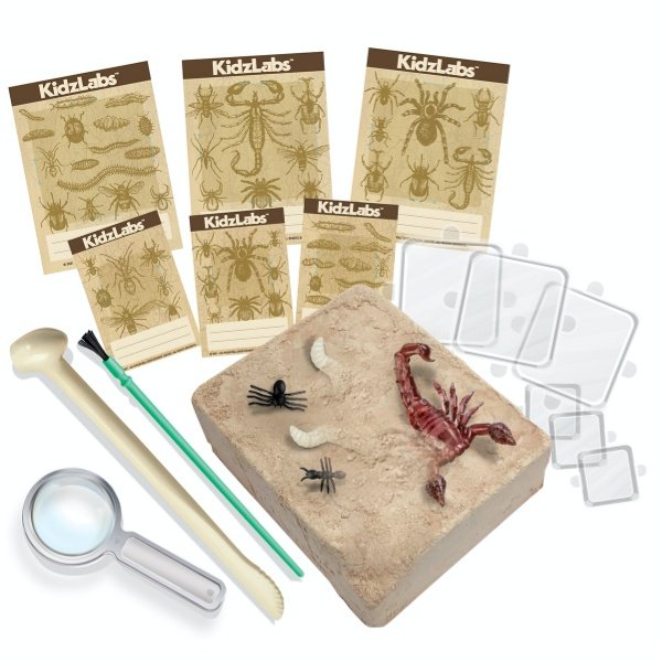 Excava Bichos