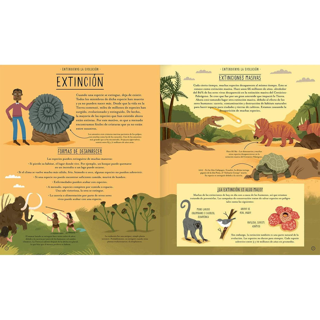 Increíble Evolución