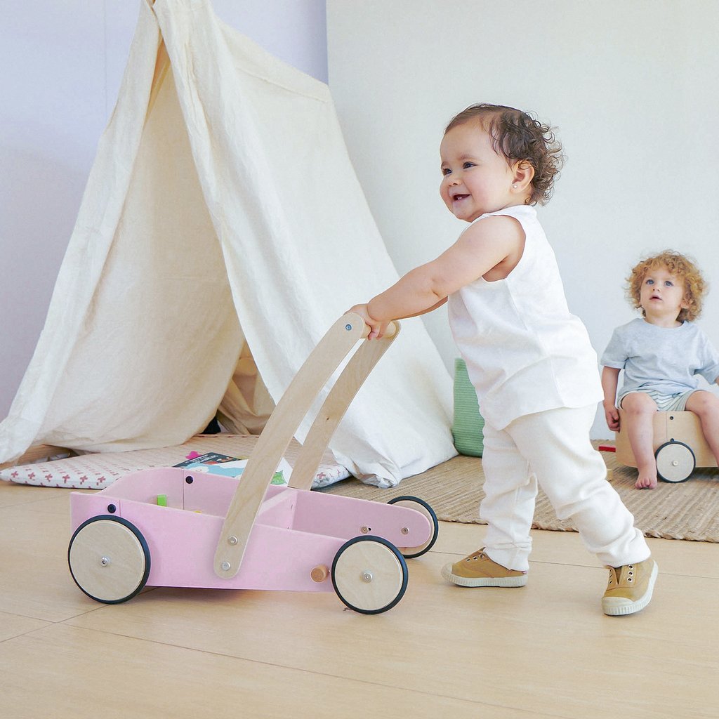Carrito Andador Gris