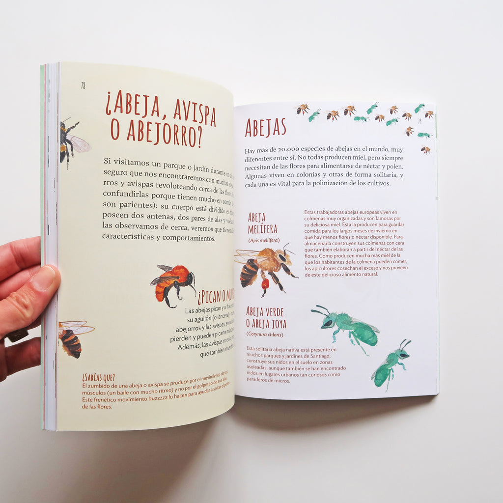 Libro "Exploradores Urbanos" - Guía para reconocer aves, árboles e invertebrados en Santiago