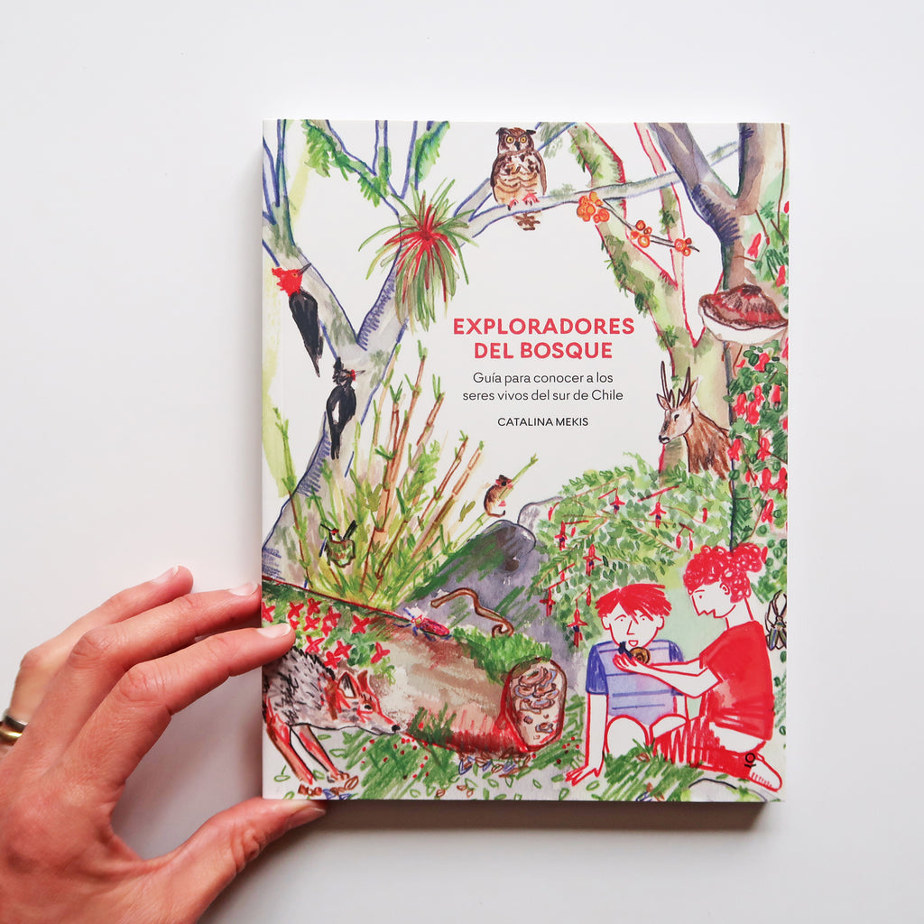 Libro "Exploradores del Bosque" - Preguntas y respuestas de nuestros bosque chilenos