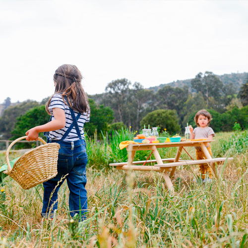 Mesa Picnic Roda